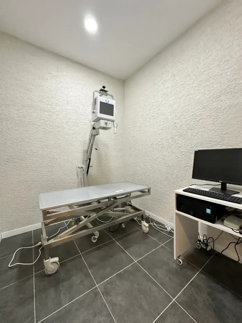 Röntgen - Argos Veteriner Kliniği